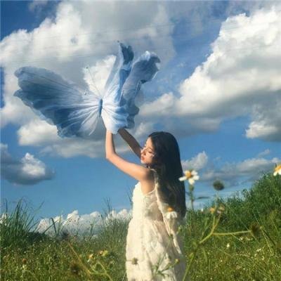 企鹅宝贝2：极地的呼唤